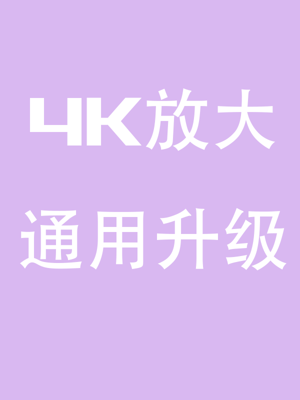 2K/4K通用升级版（8折特惠）